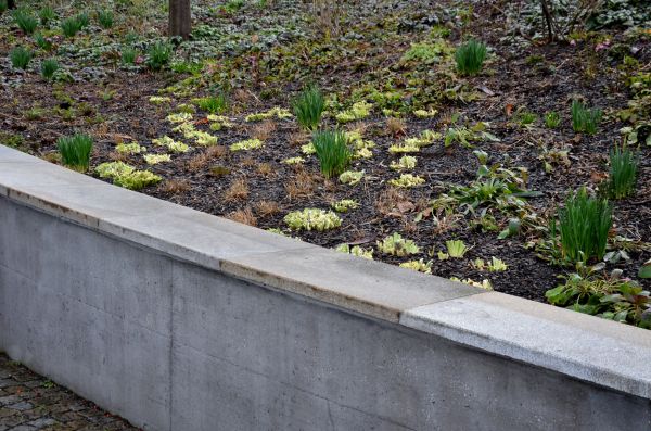 Concrete Wall Construction in Mckinney