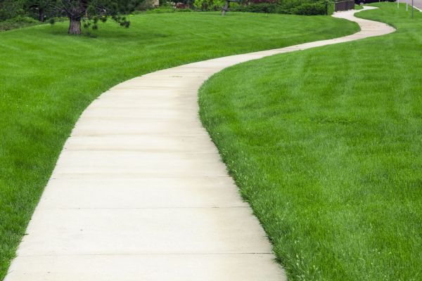 Cost of Sidewalk Paving in Mckinney