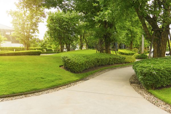 Walkway Concrete Installation in Mckinney