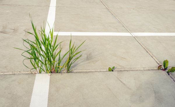 Concrete Parking Installation in Mckinney