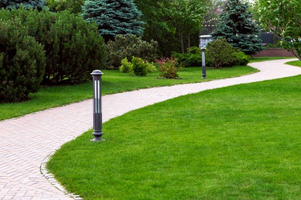 Backyard Sidewalk Installation in Mckinney