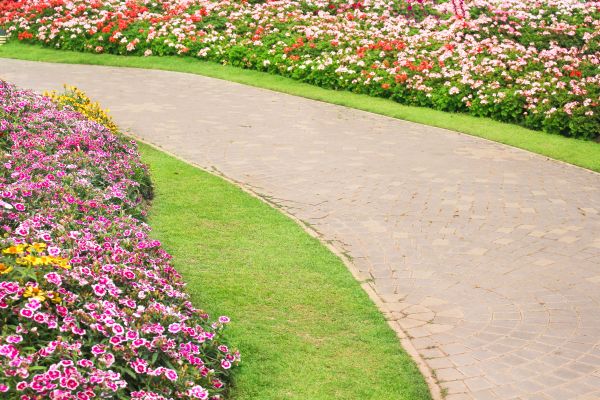Concrete Walkway Service in Mckinney